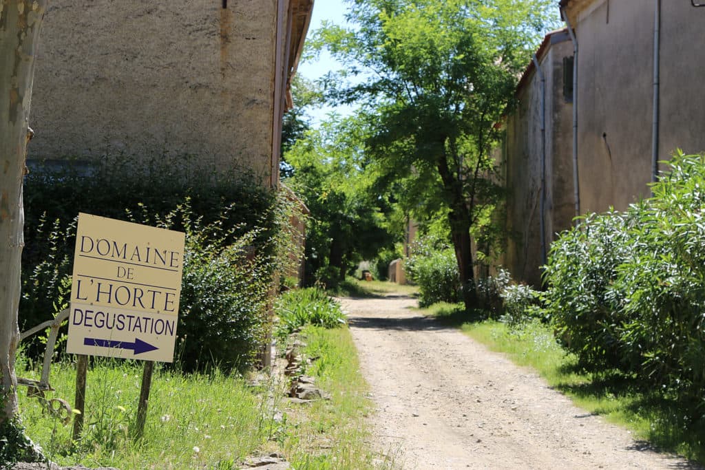 DOMAINE DE L'HORTE — paysage du domaine