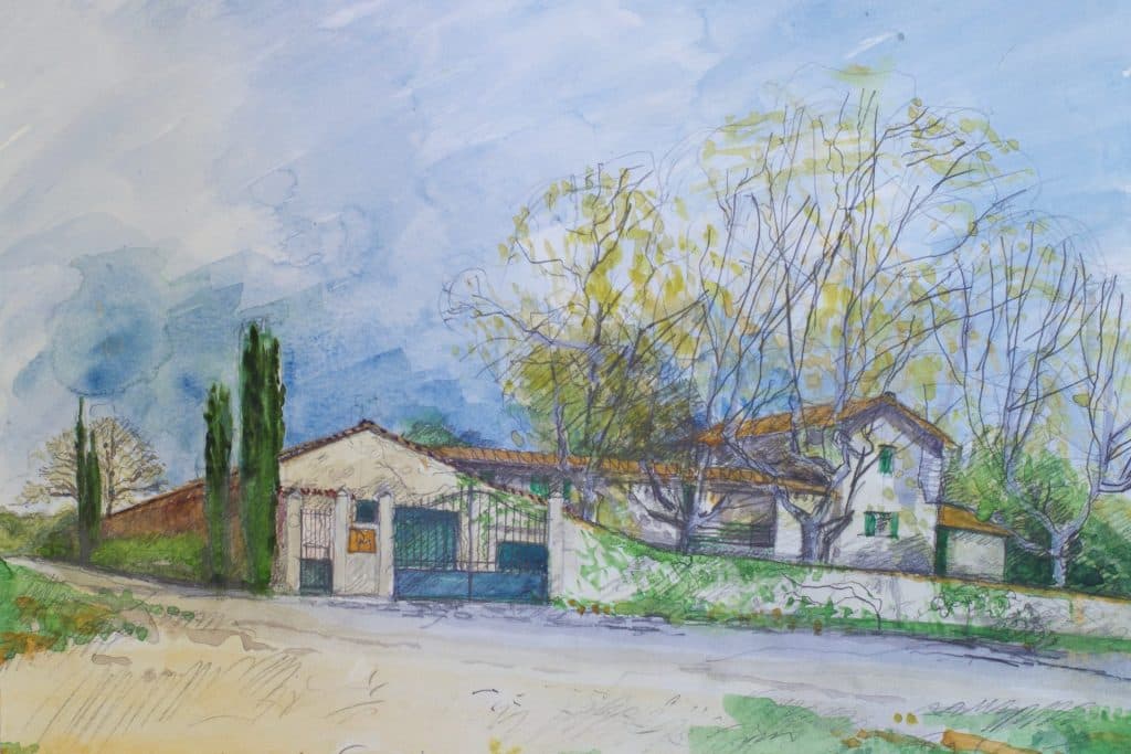 DOMAINE DE MONTBUISSON — paysage du domaine