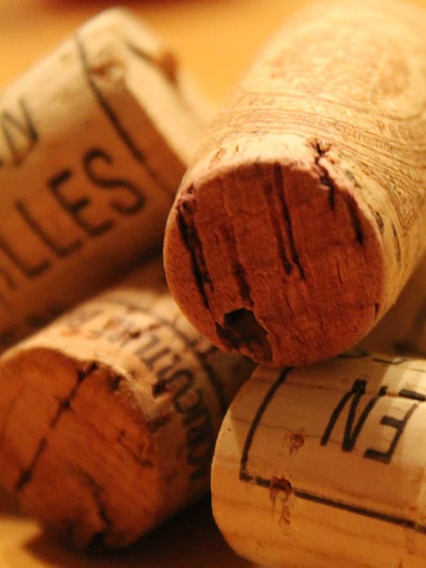 DOMAINE ALAIN CHABANON — paysage du domaine