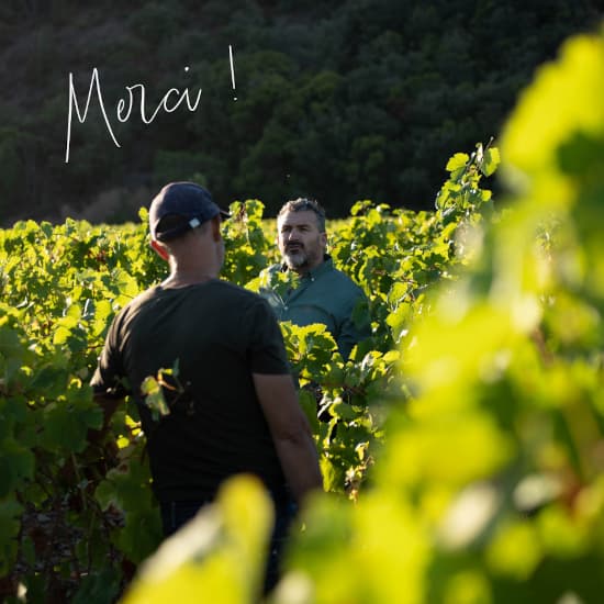 LES VINS DE ROQUEBRINS — paysage du domaine