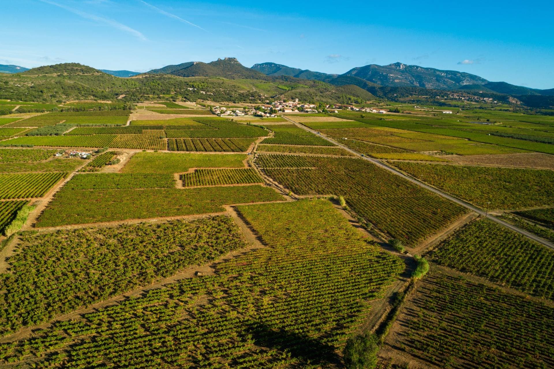 DOMAINE DE L'ARGENTEILLE — paysage du domaine